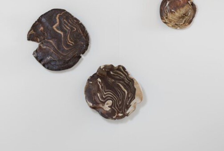 Deecabb4 B046 47D6 9Fa0 6D2c49d57405