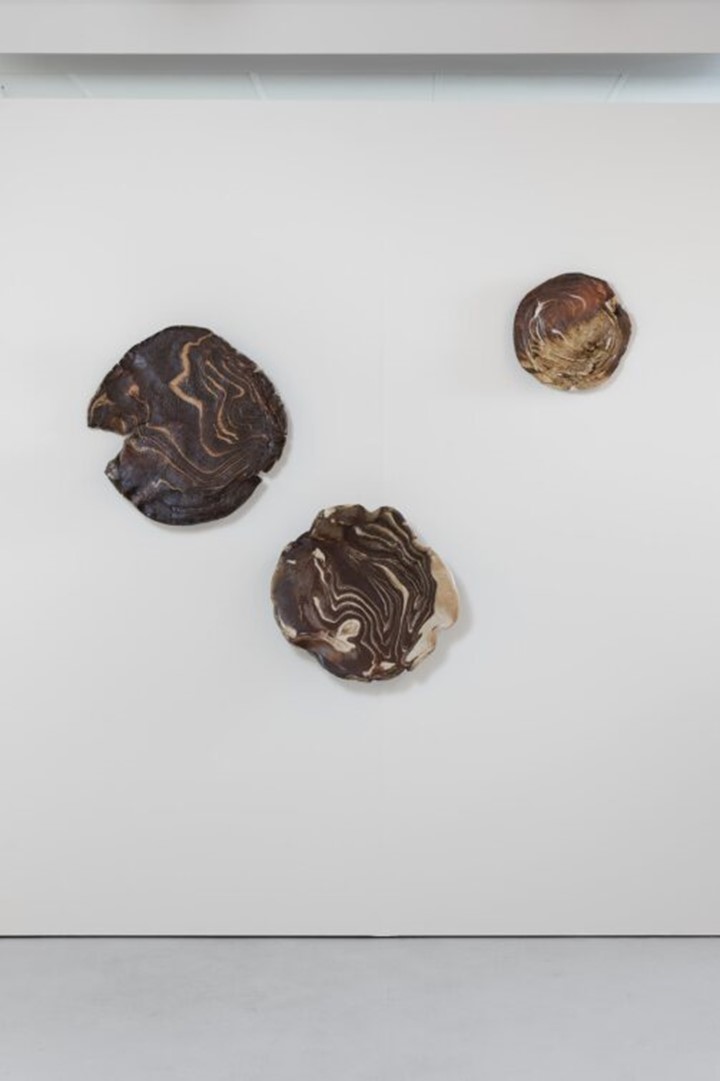 Deecabb4 B046 47D6 9Fa0 6D2c49d57405