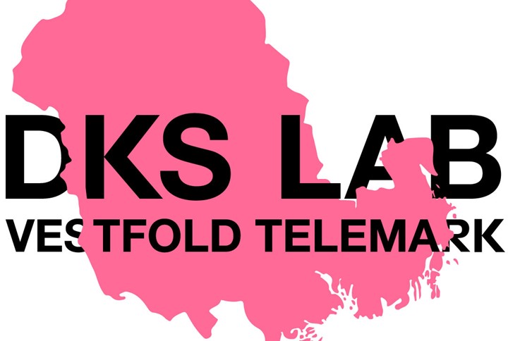 Thumbnail DKS LAB V T Logo