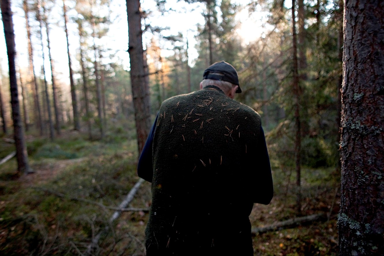 Forest Brothers Oyvind Elvsborg 2
