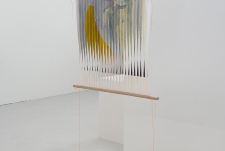 6Ec4345c 6406 48F3 Ad3c Be326ee21b3a