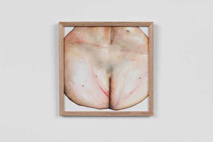 Vestfold Kunstsenter Stipendutstillingen 2025 Webres 06