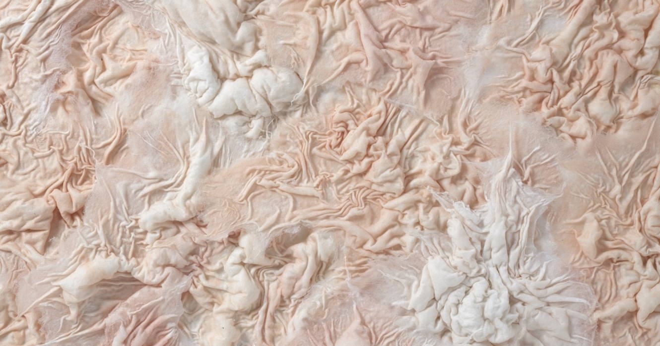 Snerk, Detalj. Helle Mellemstrand