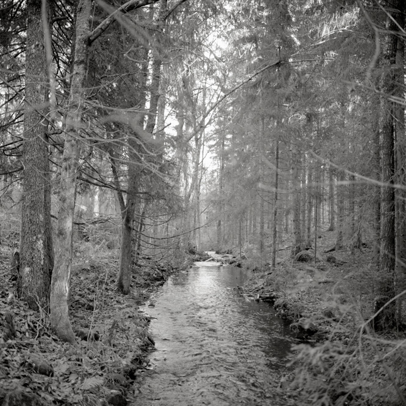 Dalaa╠Èsen 06