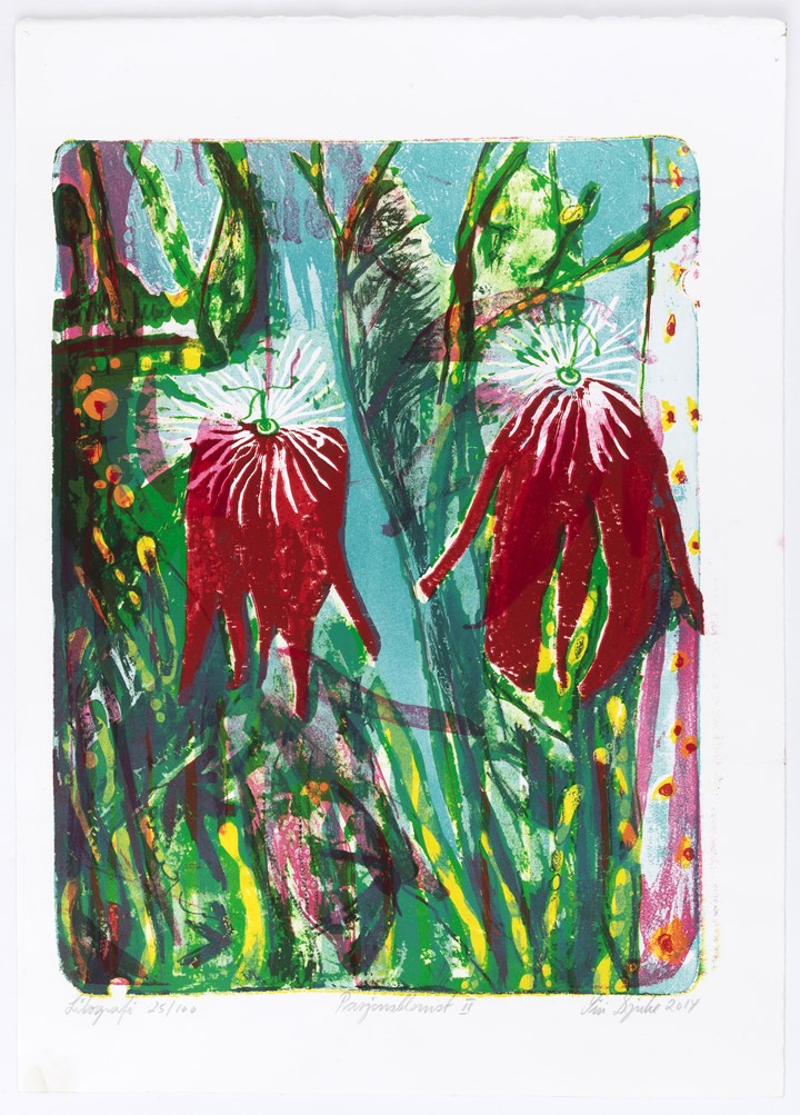 Pasjonsblomst II