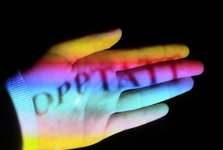 Screening Verena Scholz 2020