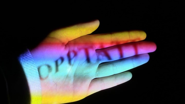 Screening Verena Scholz 2020