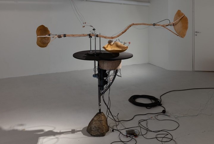 59825406 62Db 4E36 Bc40 41882Cac20f5