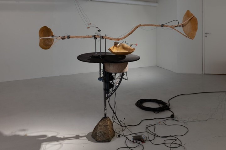 59825406 62Db 4E36 Bc40 41882Cac20f5