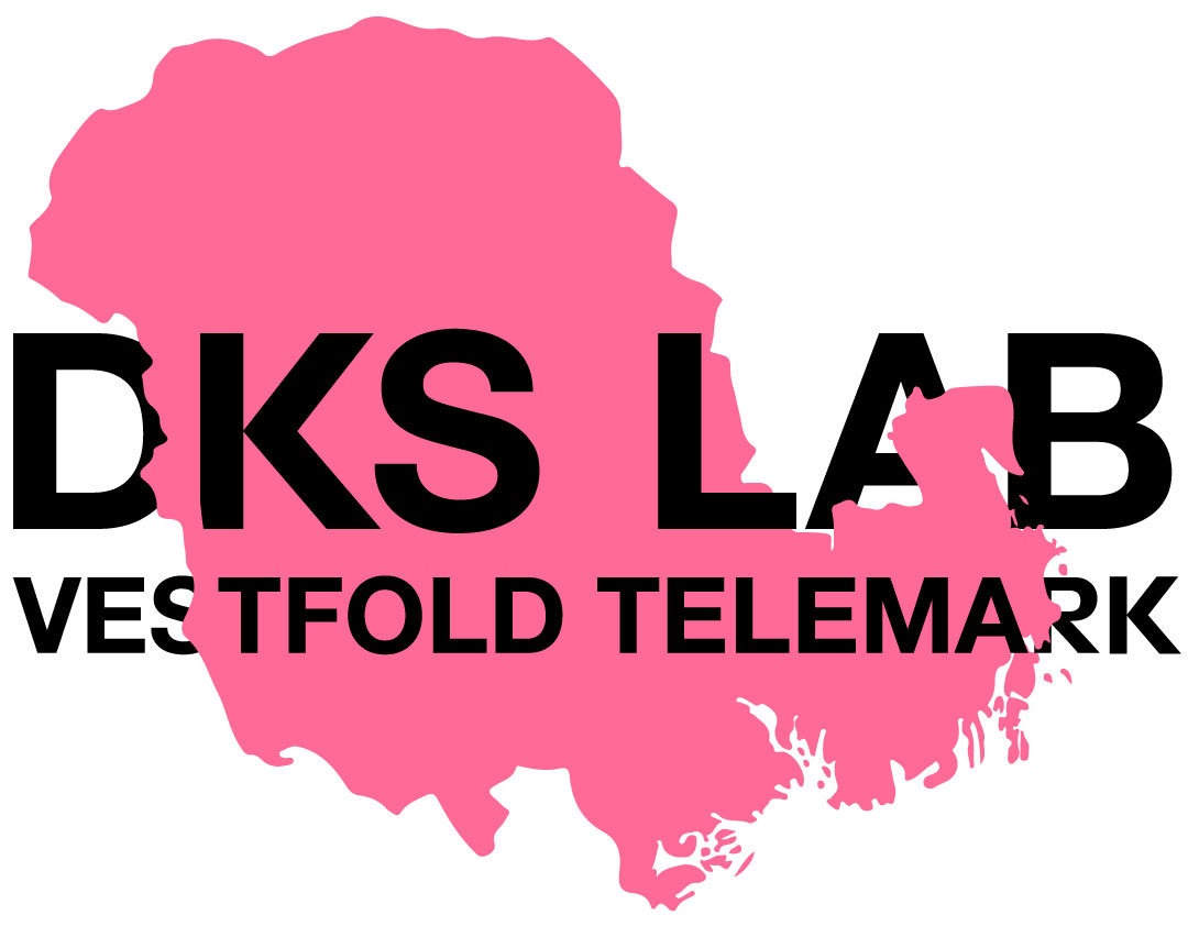 Thumbnail DKS LAB V T Logo