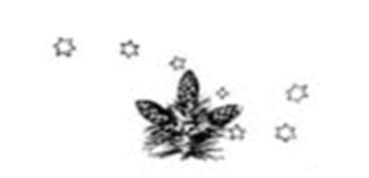 Bilde1 Bildende Kunstneres Hjelpefond