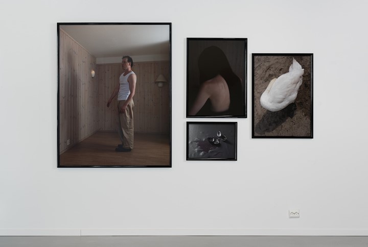 Vestfold Kunstsenter Stipendutstillingen 2025 Webres 12