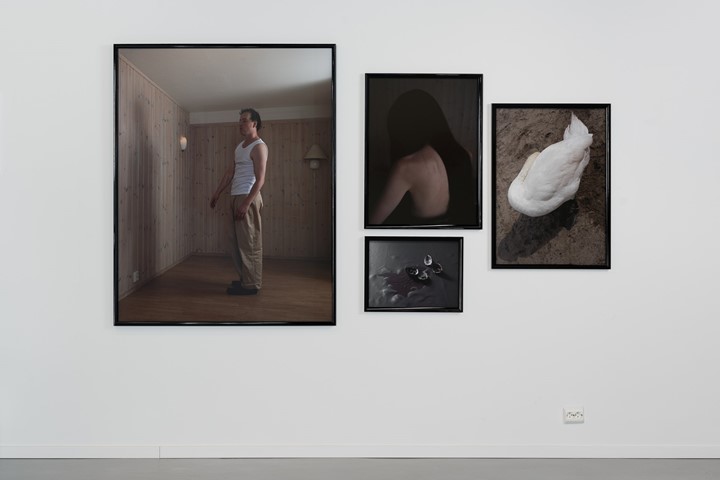 Vestfold Kunstsenter Stipendutstillingen 2025 Webres 12