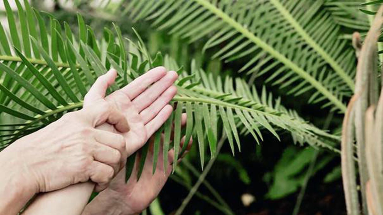 314 Suhrke Image011 (2)